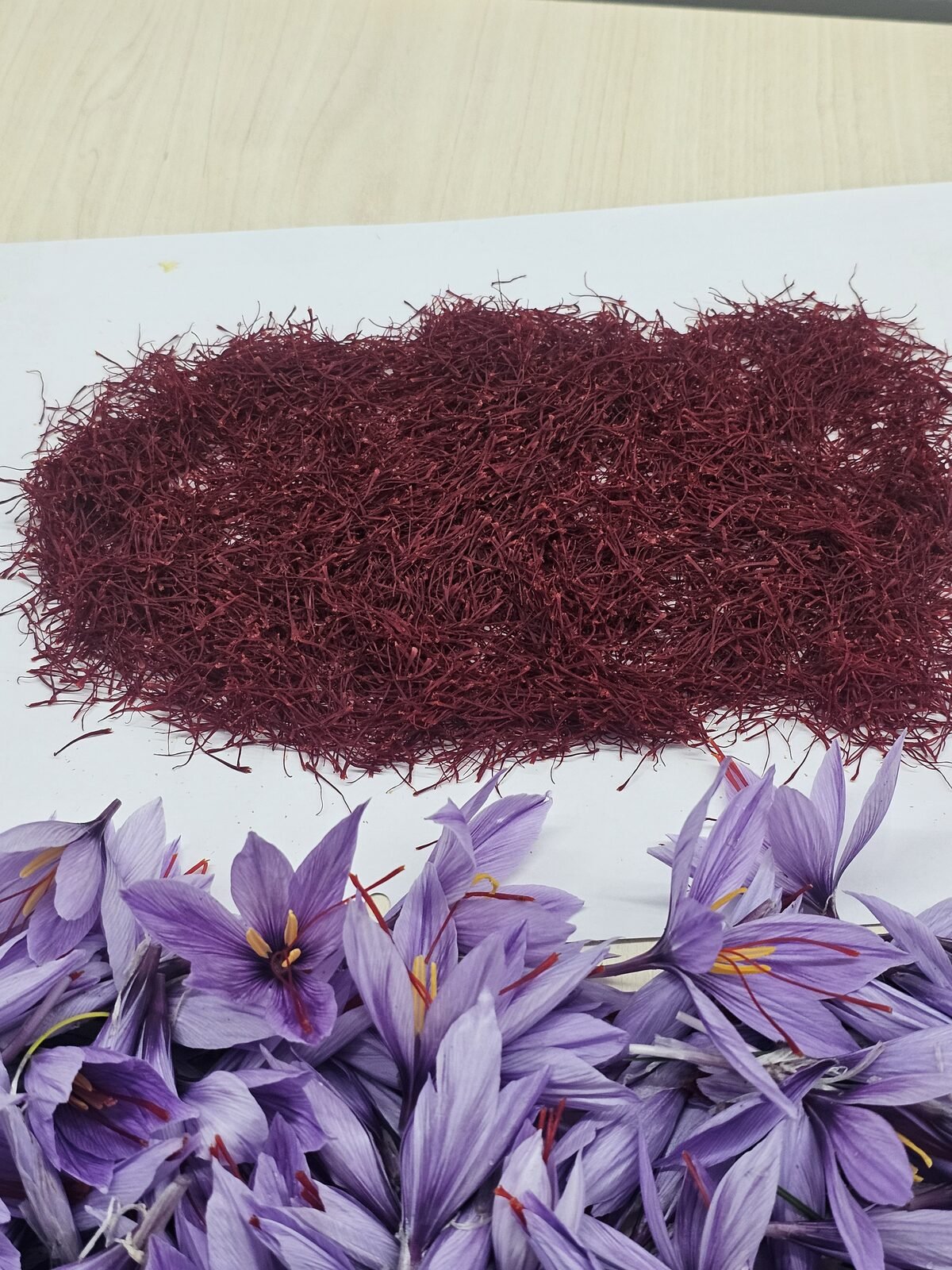 Premium saffron threads and crocus flowers